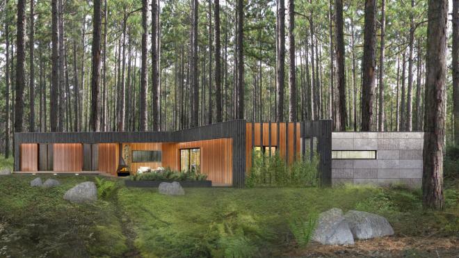 3DPROJEKT architektura, Moody-Woody House, projekt domu, dom w lesie