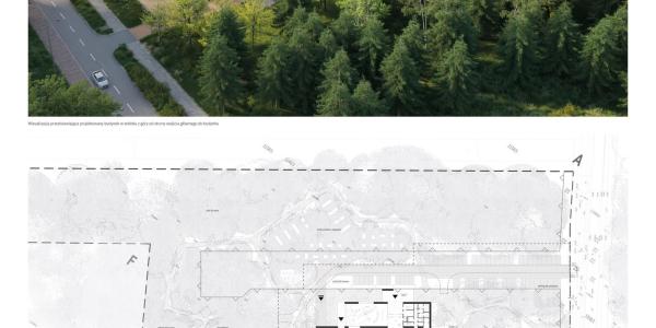Xylopolis – Centrum Sztuki i Nauki o Drewnie powstanie w Hajnówce