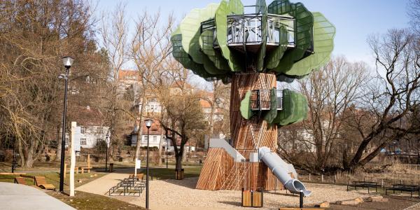 Wielopokoleniowa Strefa Aktywności w Dusznikach-Zdroju 