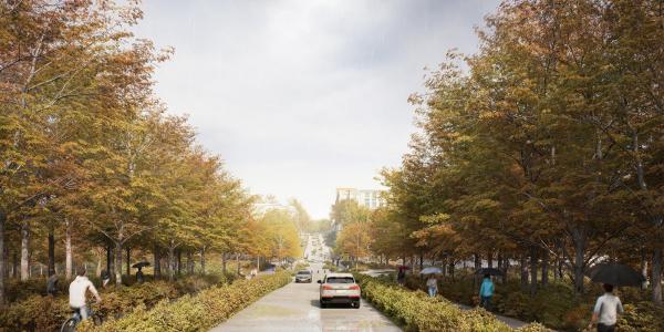 Przebudowa Karowej - Zwycięski projekt biura RS Architektura Krajobrazu