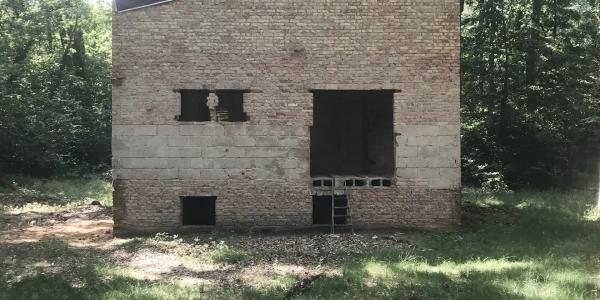 zdjęcie-35854