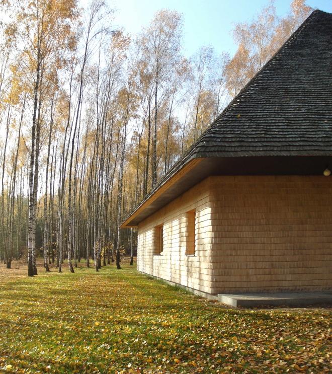 Dom Grzyb: dom z drewna w lesie od prosty architekt