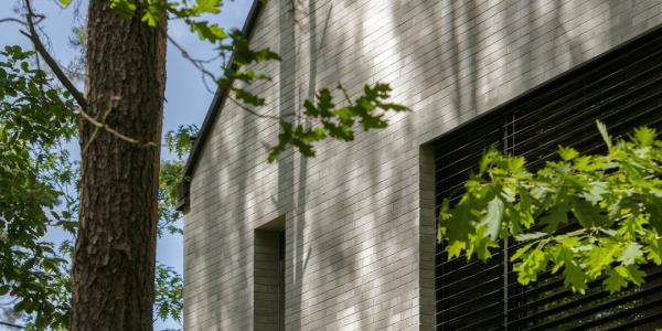 zdjęcie-35747