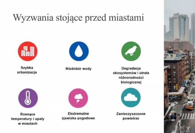 miasto kompaktowe