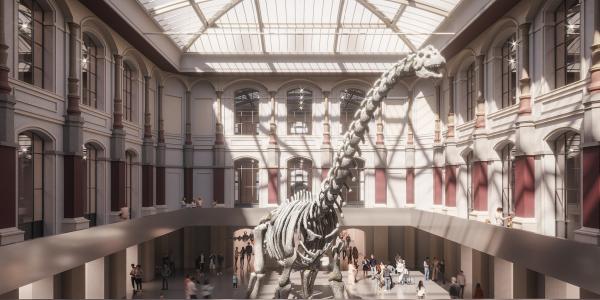 Pomysł na rozbudowę gmachu Muzeum Historii Naturalnej w Berlinie