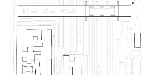 zdjęcie-36654