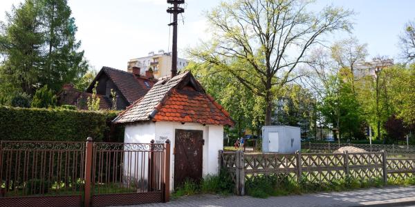 zdjęcie-35610