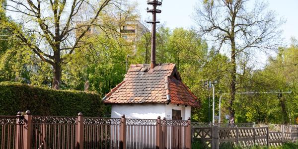 zdjęcie-35609