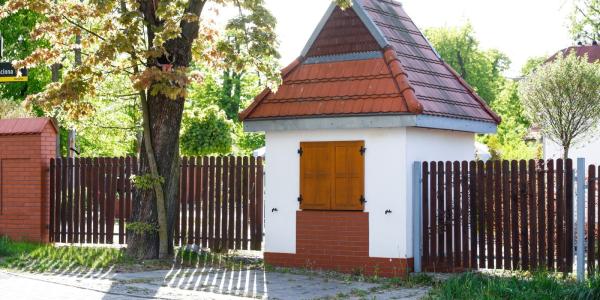 zdjęcie-35608