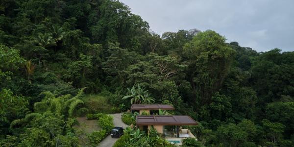 Wille Achioté w Kostaryce