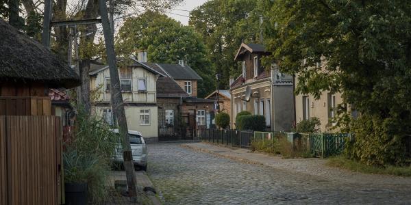 zdjęcie-33719