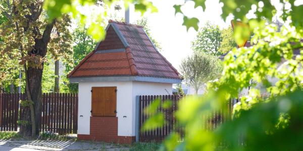 zdjęcie-35611