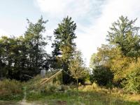 W naturze – dom jak czapka niewidka