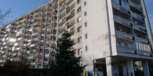 zdjęcie-36408
