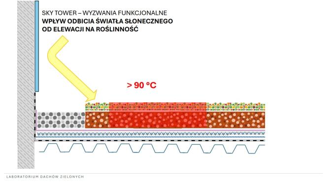 dach zielony na wysokościowcu