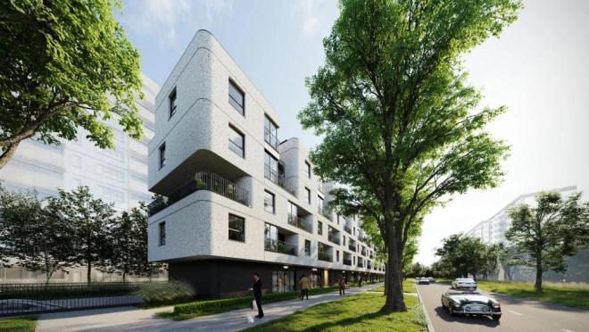 pole architekci Księcia janusza