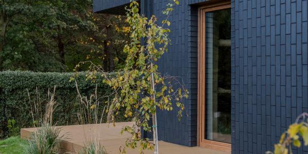 zdjęcie-33821