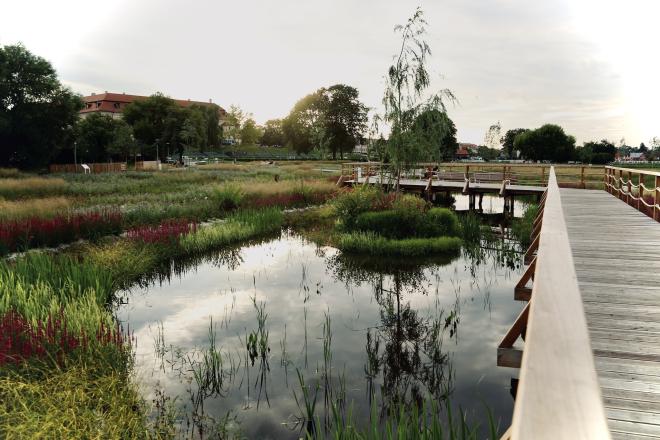 Błonia w NIepołomicach