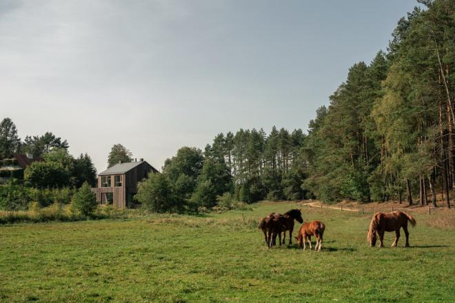 Dom jednorodzinny na Kociewiu od IFA Group