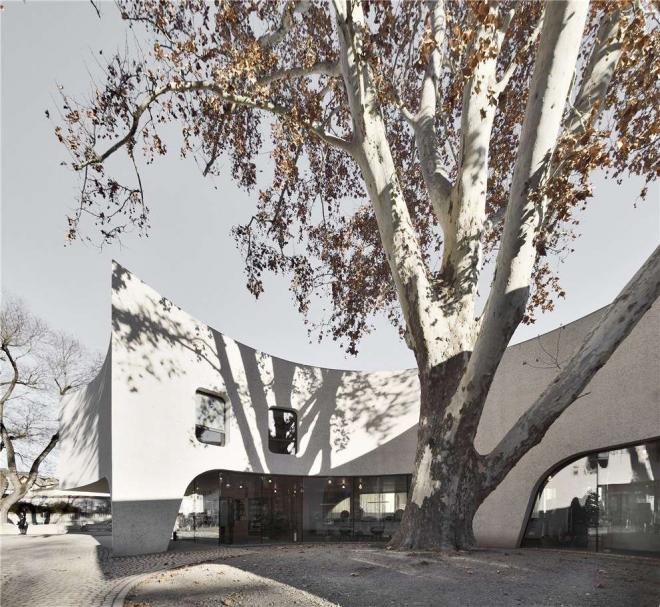 Budynek Tree Hugger projektu MoDus Architects 