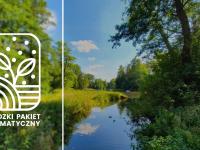 Zrównoważony Rozwój Miasta: Architektura i Błękitno-Zielona Rewolucja w Łodzi