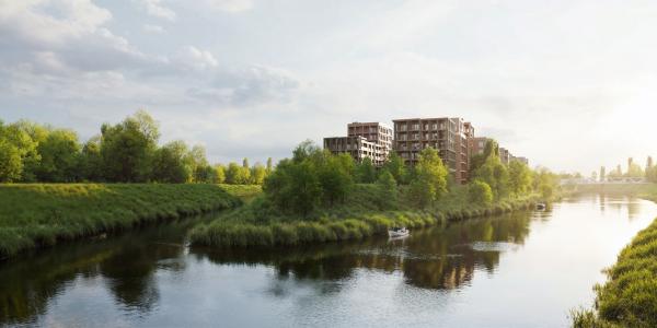 zdjęcie-34768