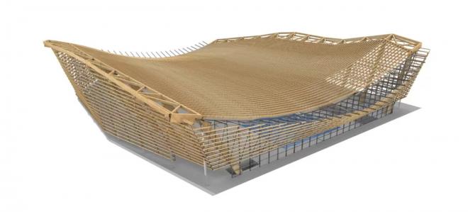 Timber Aquatic Center, projekt budynku z drewna