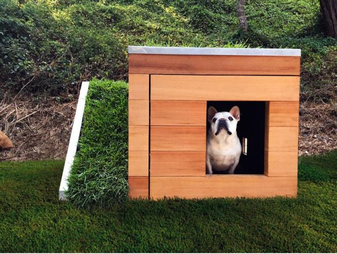 Dom z drewna dla psa