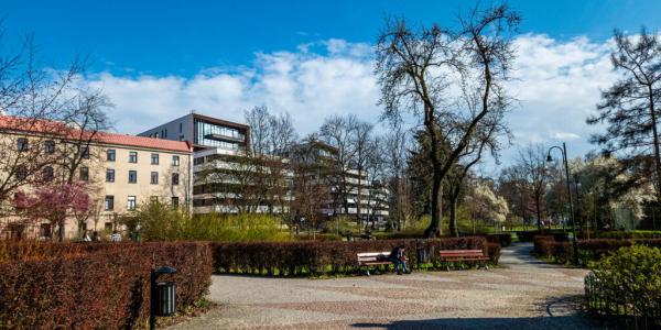 Krowodrza Park
