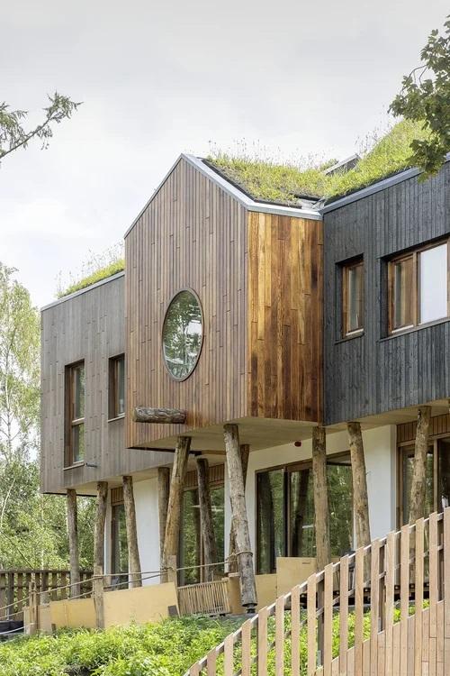 przedszkole Mowgli w holenderskim Vught