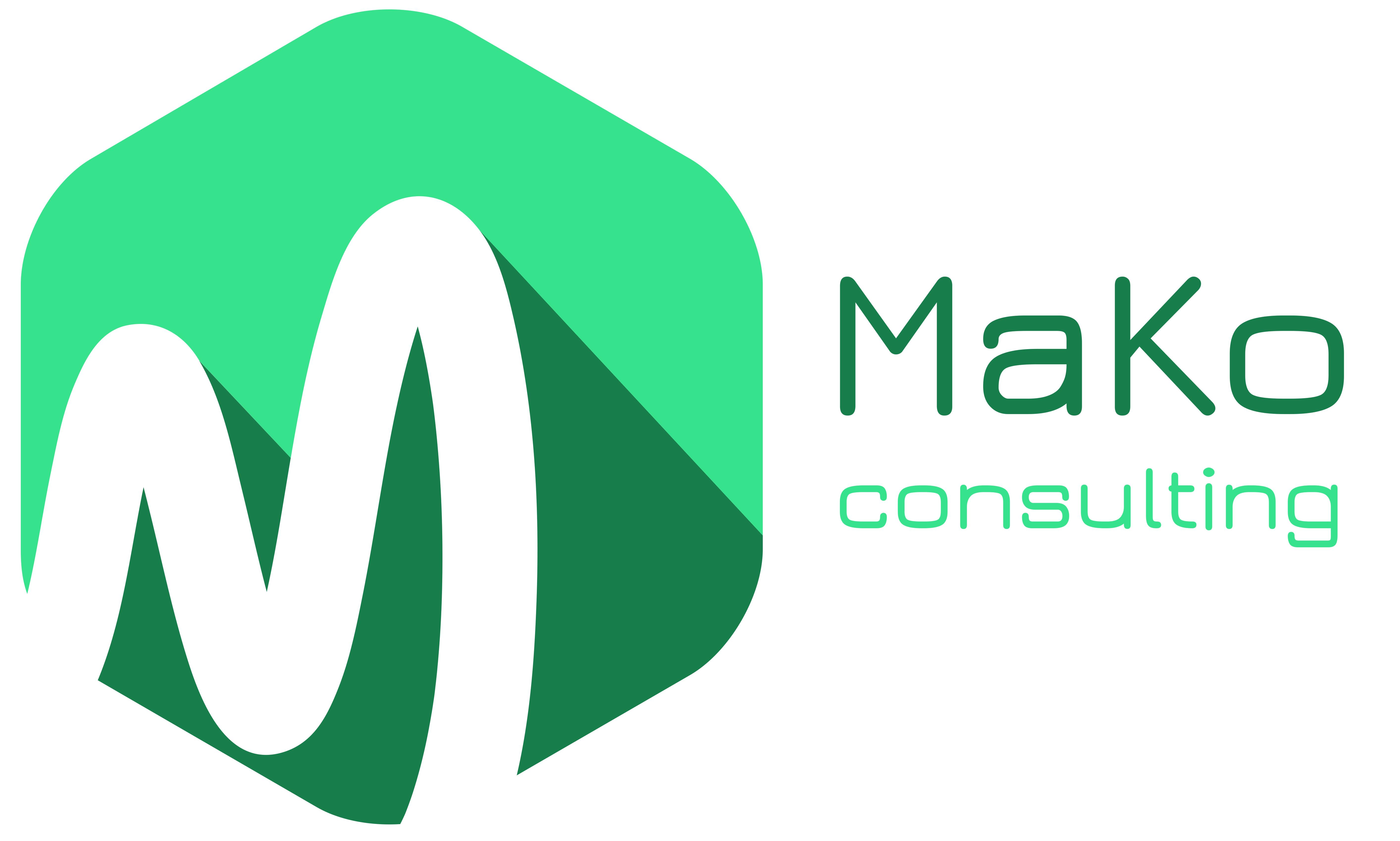 Mako Consulting 