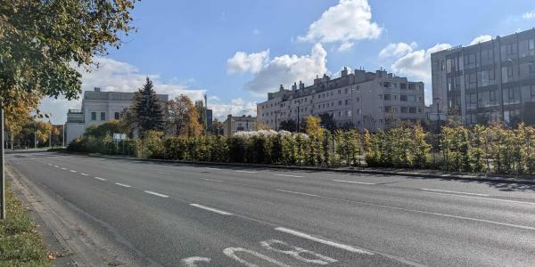 zdjęcie-35456