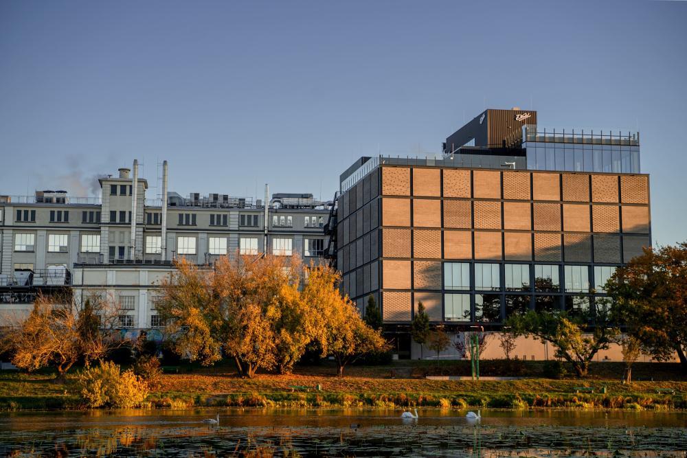 Słodkie muzeum