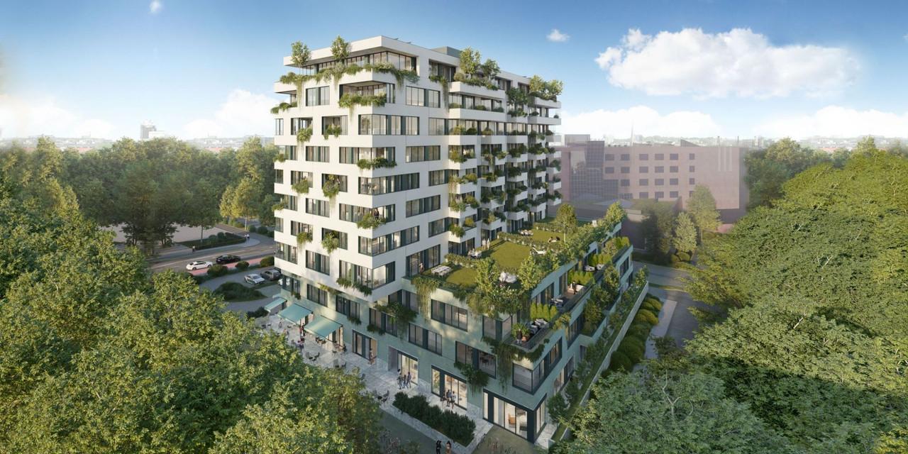 Katowicki Bosco Verticale